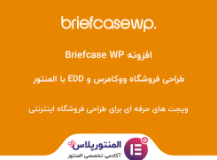 افزونه Briefcase WP